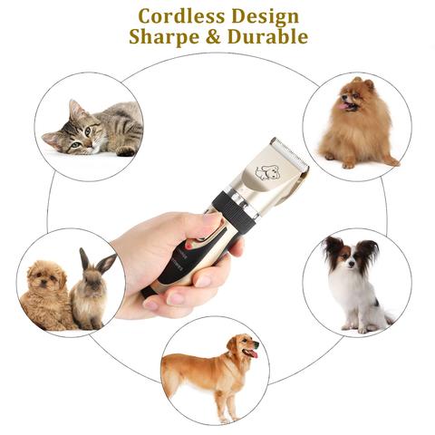Doggo Salontrimmer