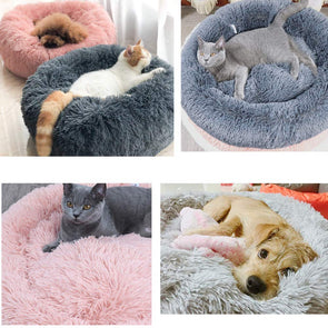 Hundebett
